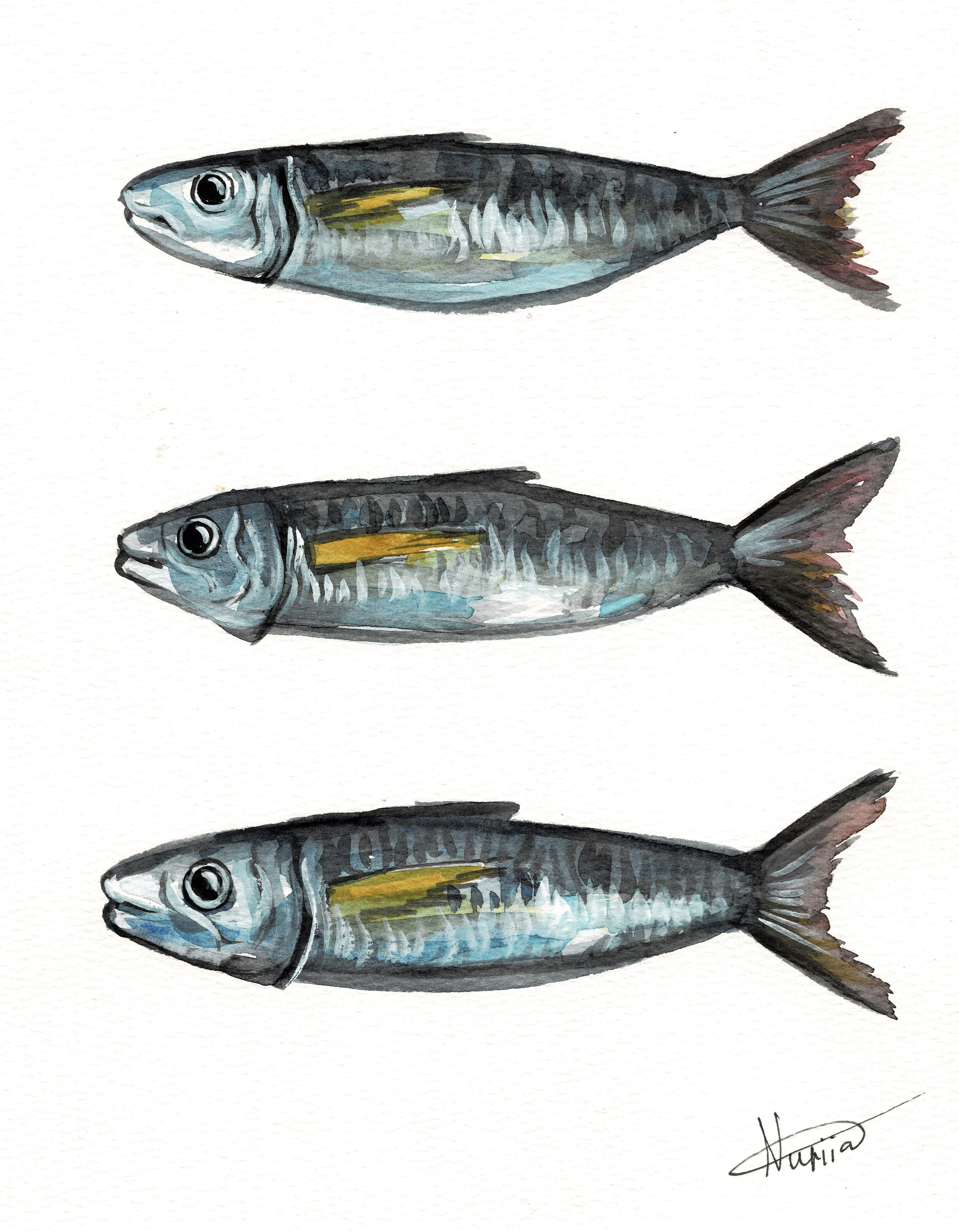Original watercolor paintinf